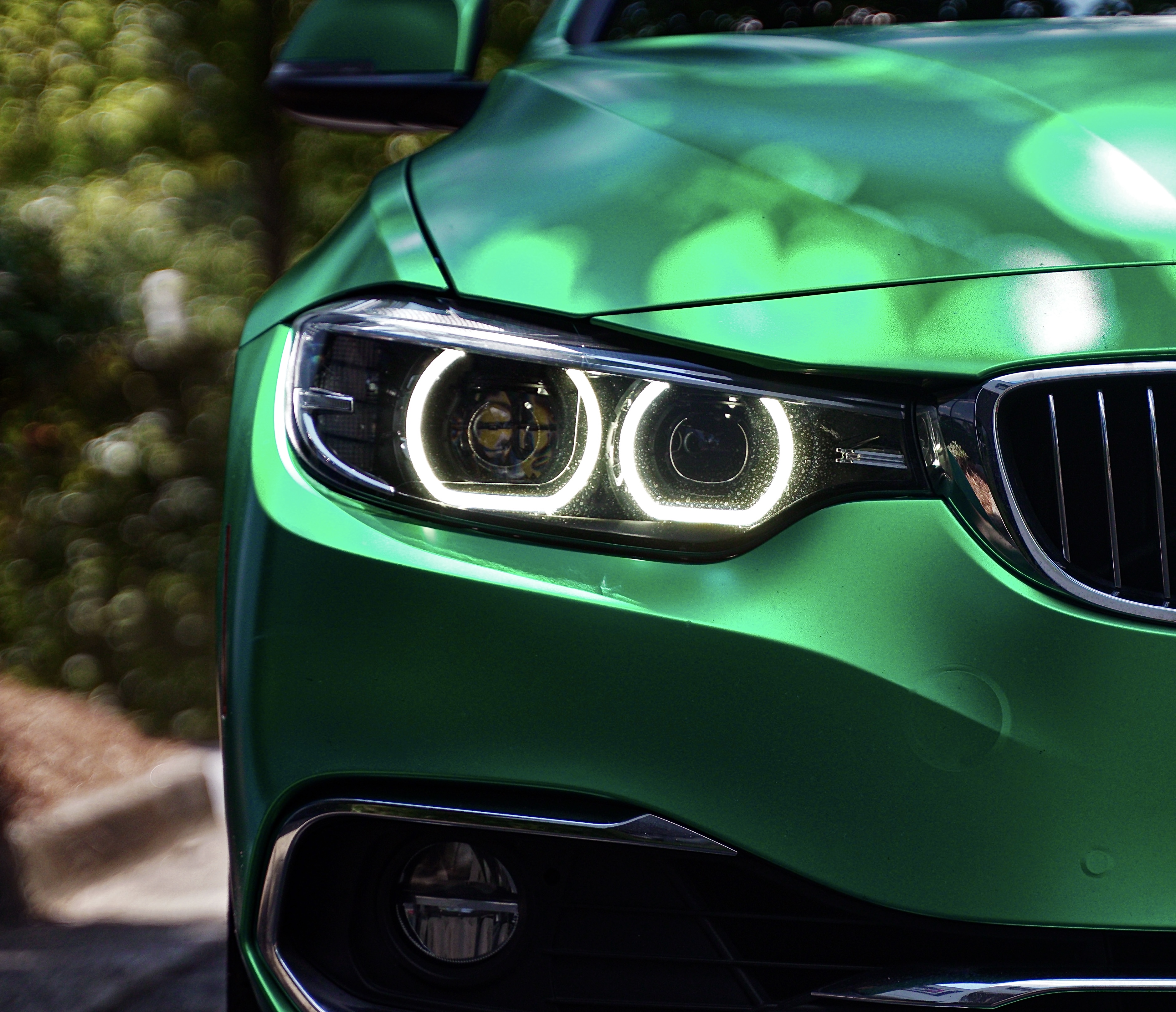 Green BMW headlight and glossy paint after detailing