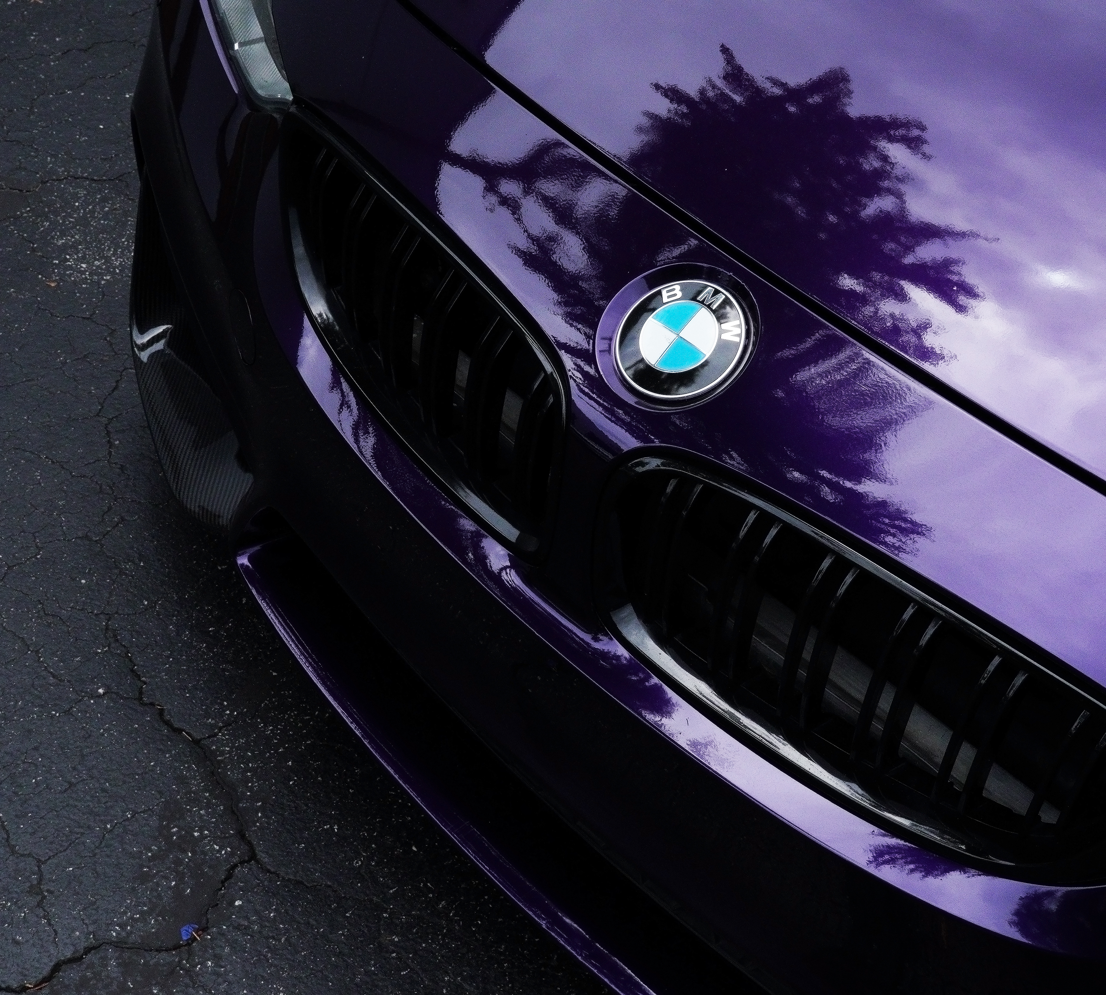 Purple BMW paint reflection after detailing